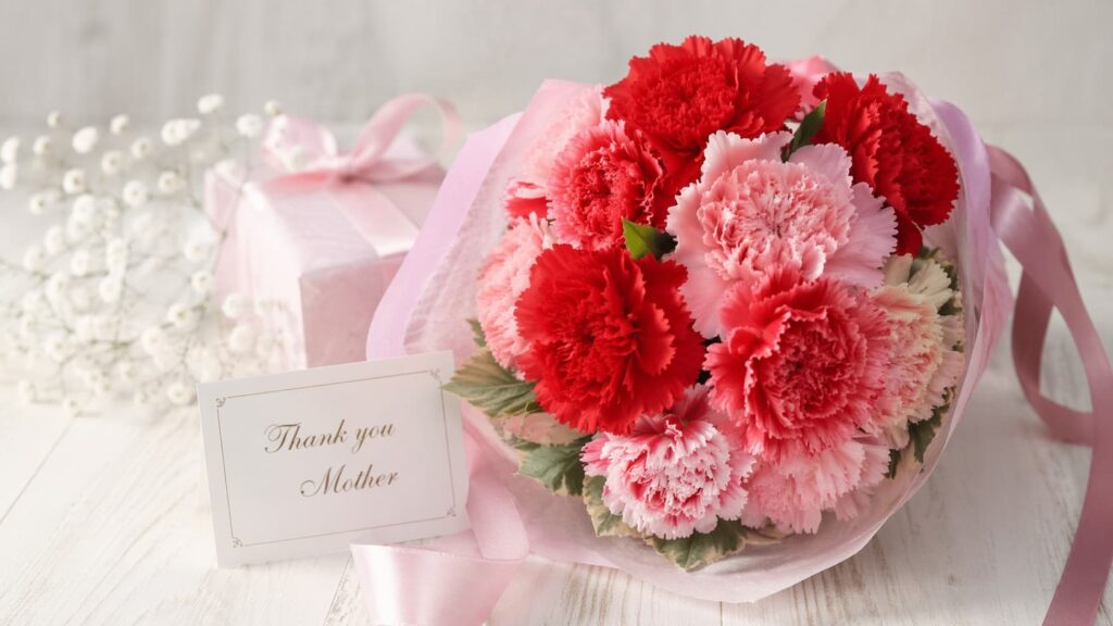 カーネーション 母の日